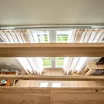 Lys シエラネバダ